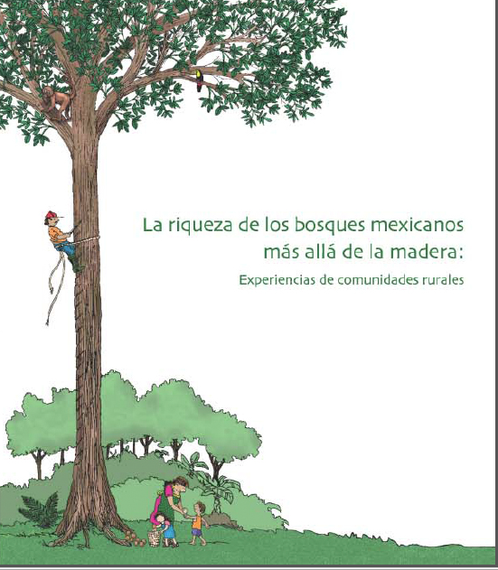 Portada de La riqueza de los bosques mexicanos más allá de la madera